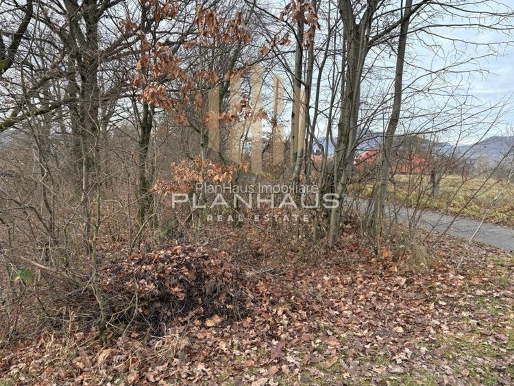 Teren Sisesti la soseaua principala ,langă pensiunea Madlene ,1 ha - 5