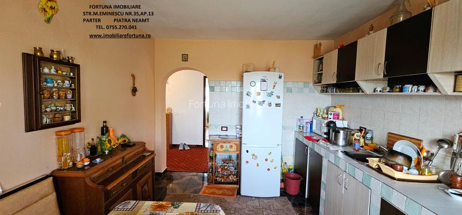 Proprietate Slobozia-Roznov, casa mansardata, teren si livada - 13