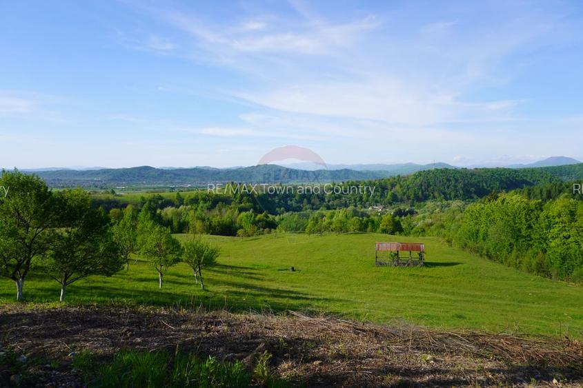 Teren 15,000mp Sighetu Marmatiei / Strada Mocăniței - 2