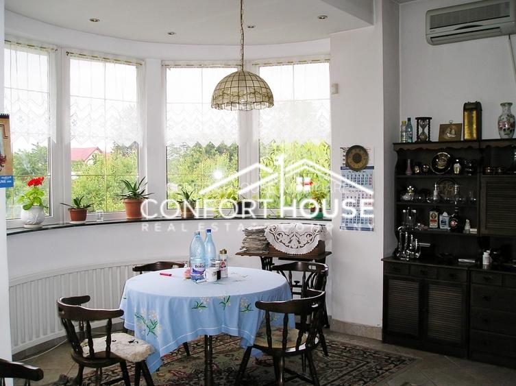 Proprietate impresionanta D+P+M, teren 4781MP, IANCU NICOLAE - 14