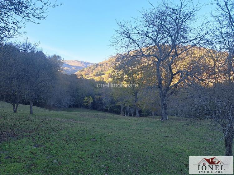 Vanzare casa cu 17.399 mp teren in Vintu de Jos - Valea Vintului - 4