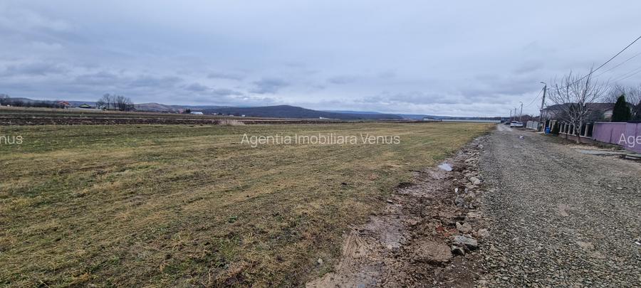 Loturi de teren intravilan la Tulbureni - 3