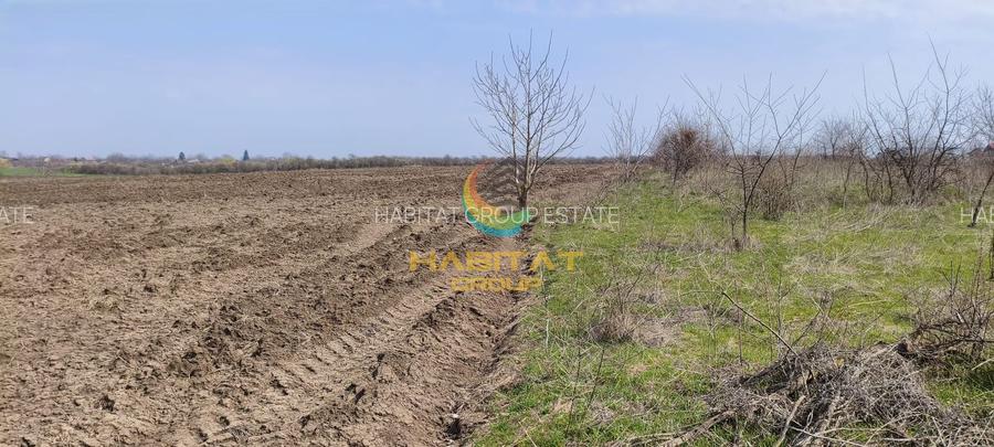 Teren extravilan – 10.000 mp, acces DN4 Frumușani - 2