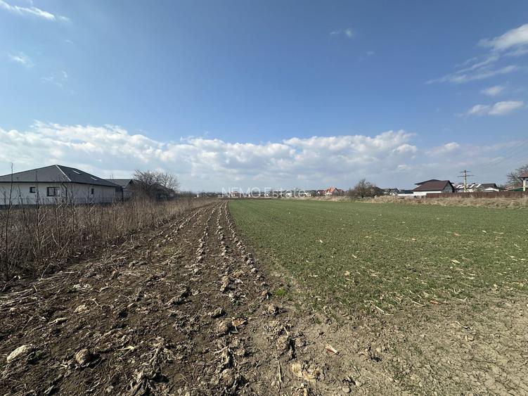 Teren intravilan 20 ari | Rădăuți | Front stradal 19.49 m - 2