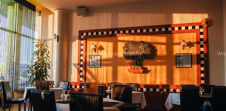 Timisoara, OPORTUNITATE INVESTITIE, hotel, clinica sau azil, 41 camere - 7