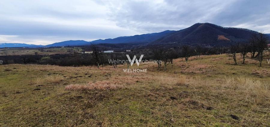 Rădăcini noi, visuri vechi- Teren de vanzare in Cisnadioara, Sibiu - 3