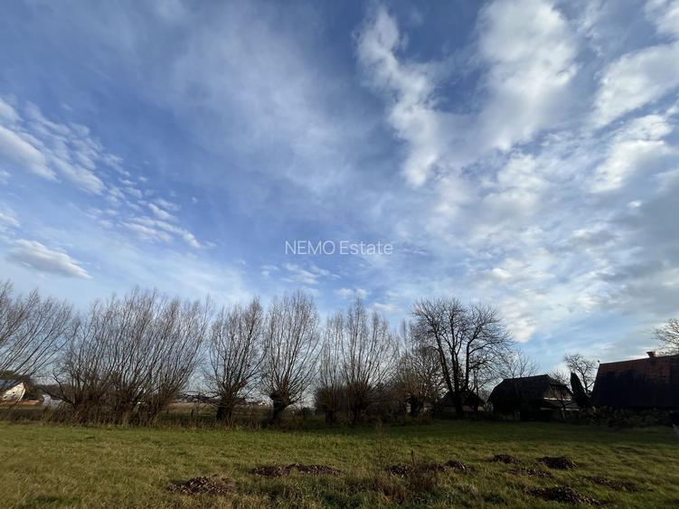 TEREN INTRAVILAN GENEROS | 72 ARI | GALANESTI - 11