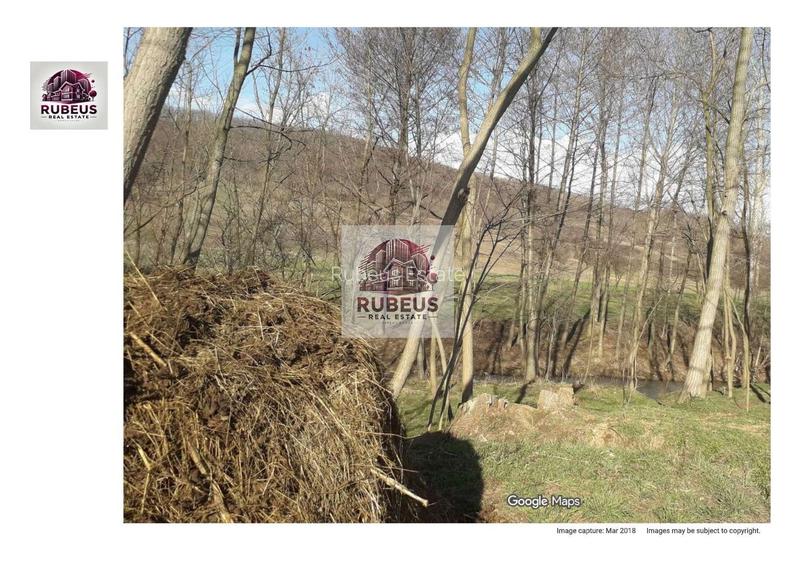 Oportunitate rară! 1 ha pădure Corcova – teren cu potențial real - 5