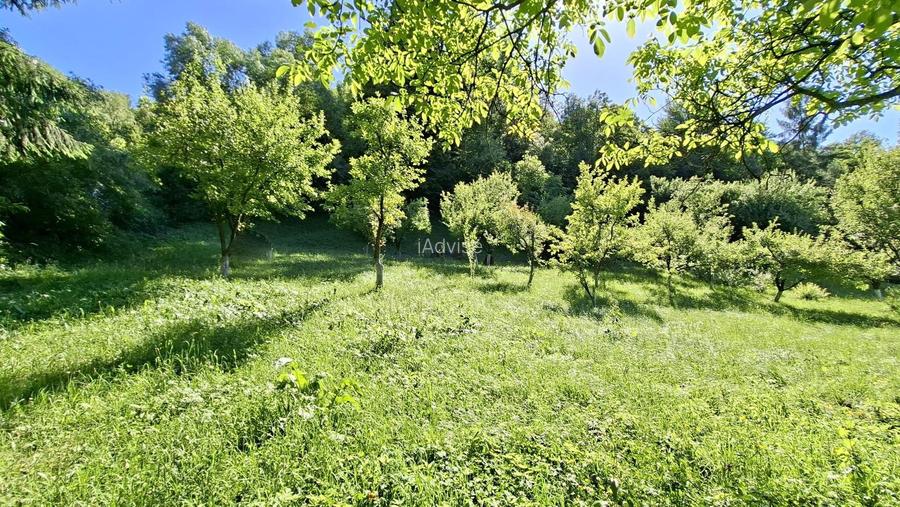 Casă cochetă cu teren generos și priveliște deosebită Vișeu de Sus - 9