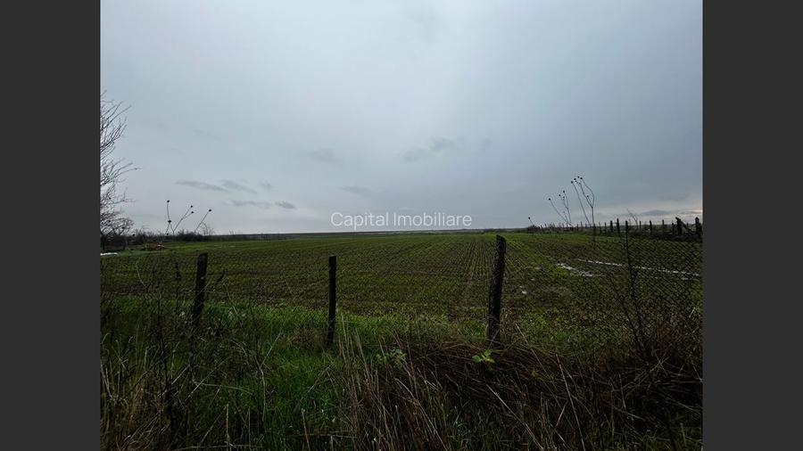 De Vânzare: -casă 2 camere, Piatra-OLT, 50mp, 2012mp teren, 37000 EUR - 12