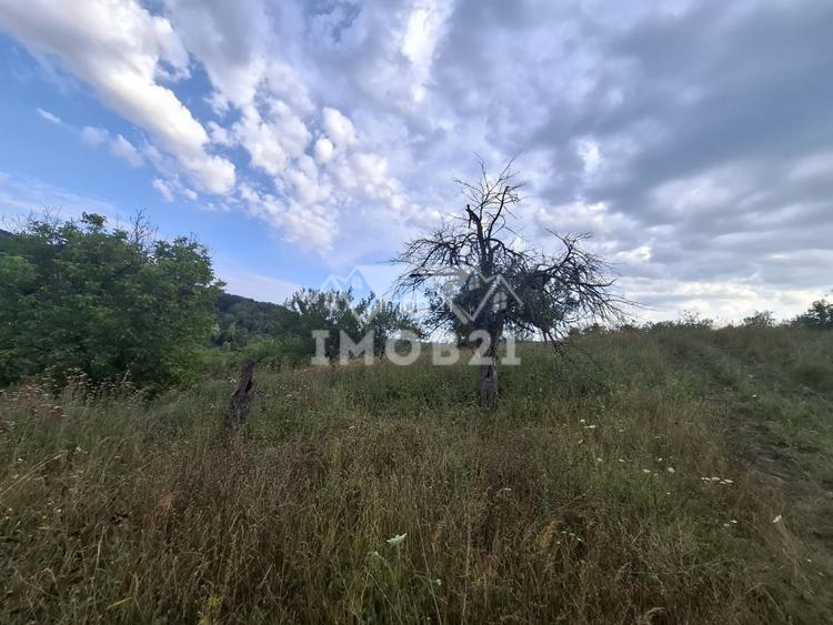 Teren spectaculos cu padure, livada si priveliste panoramica in Soimari PH - 14
