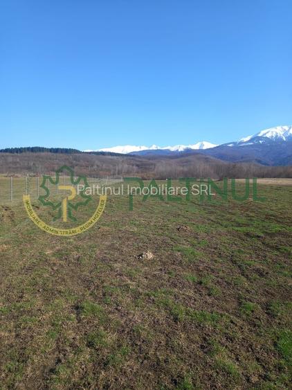 Vindem teren Sibiu, Valea Lupului, priveliste deosebita - 8