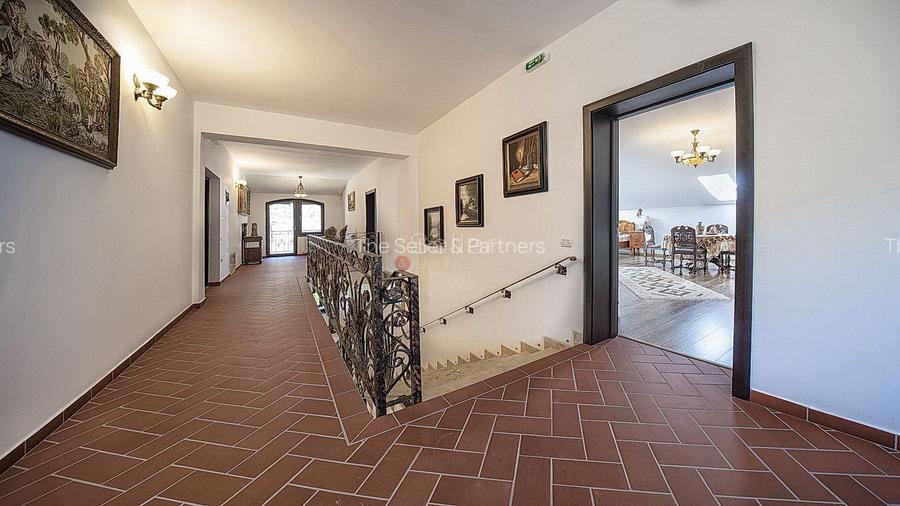 PROPRIETATE DEOSEBITA - LIZIERA PADURII - 46