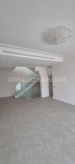 Proprietate deosebita Iancu Nicolae - 12