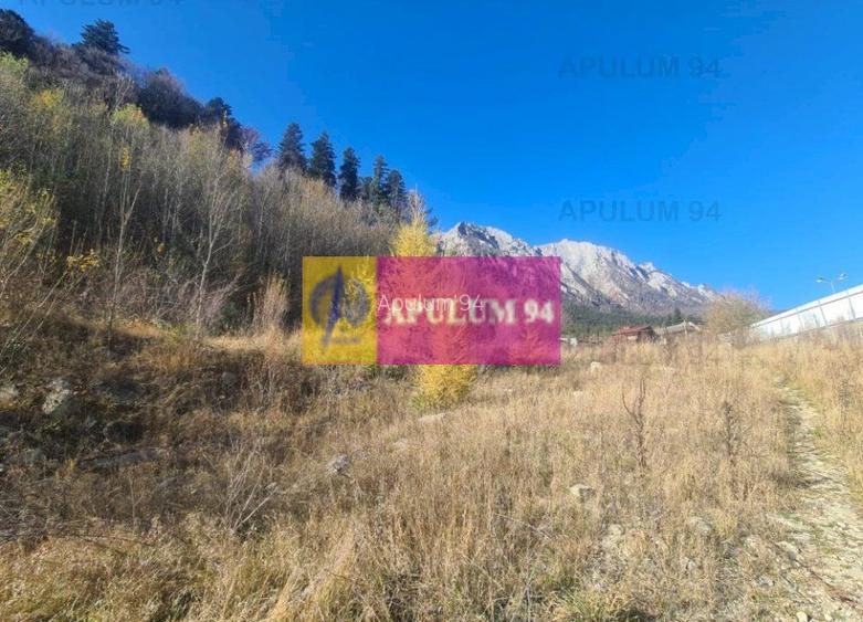 Teren intravilan de vânzare în Bușteni - Zona centrala - 10