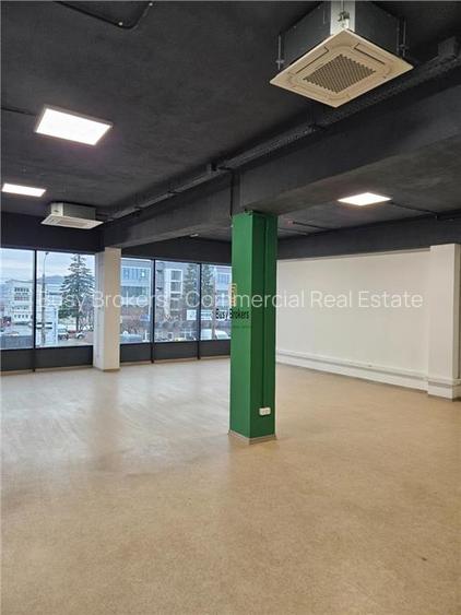 Spatii Birouri - 200 mp - zona Industriala Est - 11