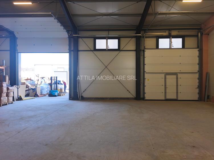 Hala Mosnita Noua 300 mp/5 euro+ TVA - 5