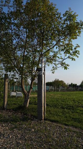 Teren intravilan cu vedere spre Lacul Buftea - 10