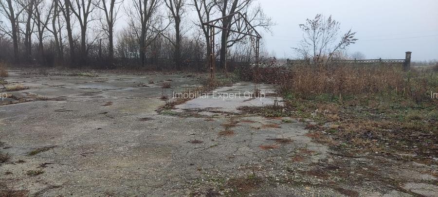 Hala ideal productie Oltenita - 9