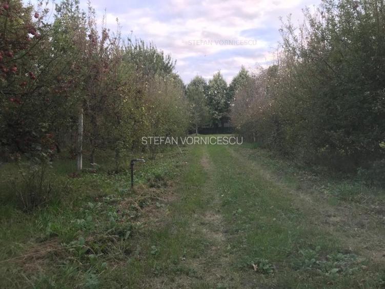 Teren la Strada EUROPEANA , CU TOATE UTILITATILE parcele de case - 8