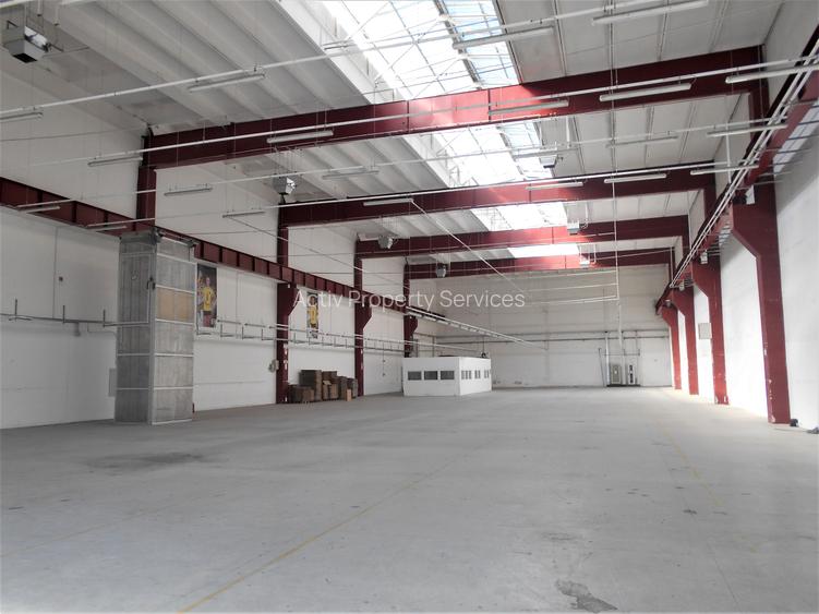 Hală industrială Clasa B disponibilă pentru închiriere Lugoj - 4