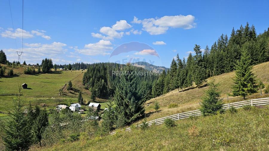 Casă / Vilă de vacanta in Dorna Arini, Suceava - 60