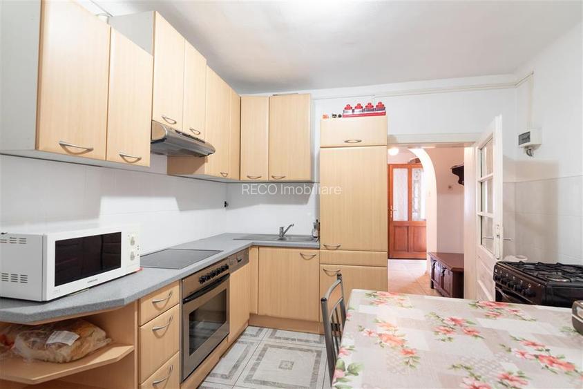 Teren mare cu 2 case si front la 2 strazi in Tamaseu - 13