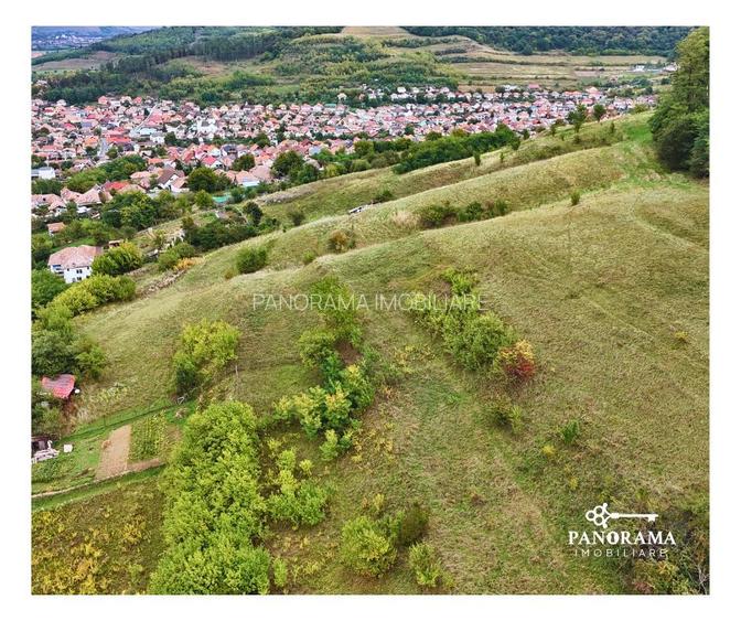 Teren intravilan de aproape 3 ha la liziera pădurii | cartierul Gloria - 6