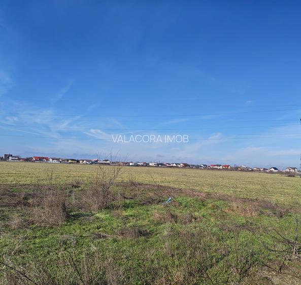 OFERTĂ VÂNZARE TEREN INTRAVILAN – MĂGURELE, STRADA STEJARULUI - 6