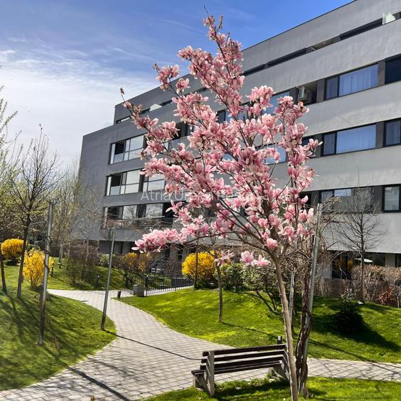 Apartament 2 camere cu Gradina Privata -Sectorul 1-Zona Mall Colosseum - 13
