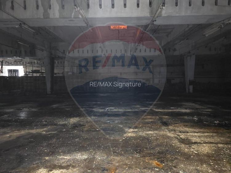 DE INCHIRIAT Spațiu industrial de 10,000mp în zona Gavana - 4