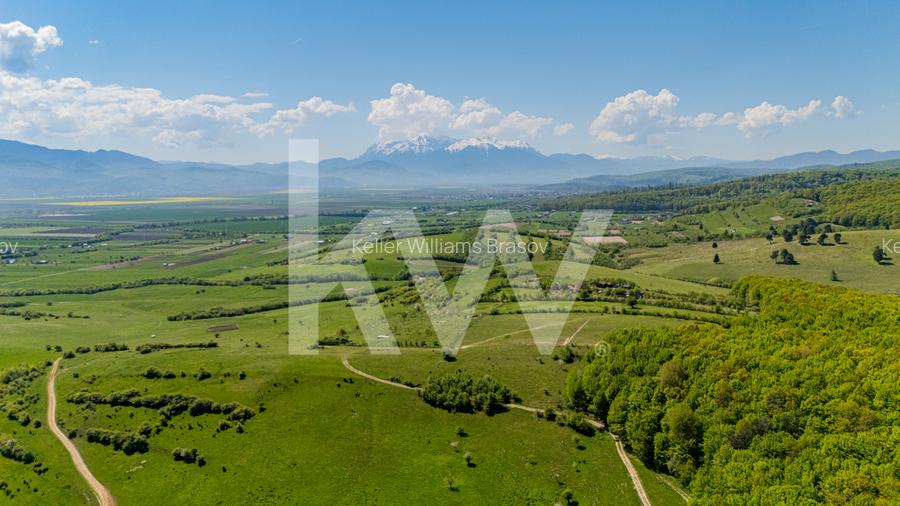 Teren 1500 mp | Zona Viesel – Codlea | Priveliște Superbă | Investiție - 8