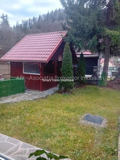 Vanzari Case / vile - 15