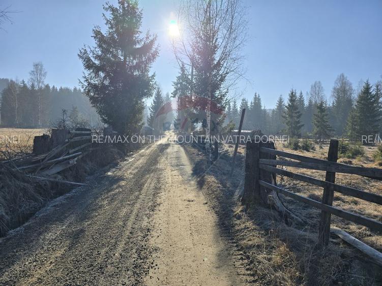 Teren 3,266mp Dorna-Arini / Drumul ORTOAIA - PODIREI - 5