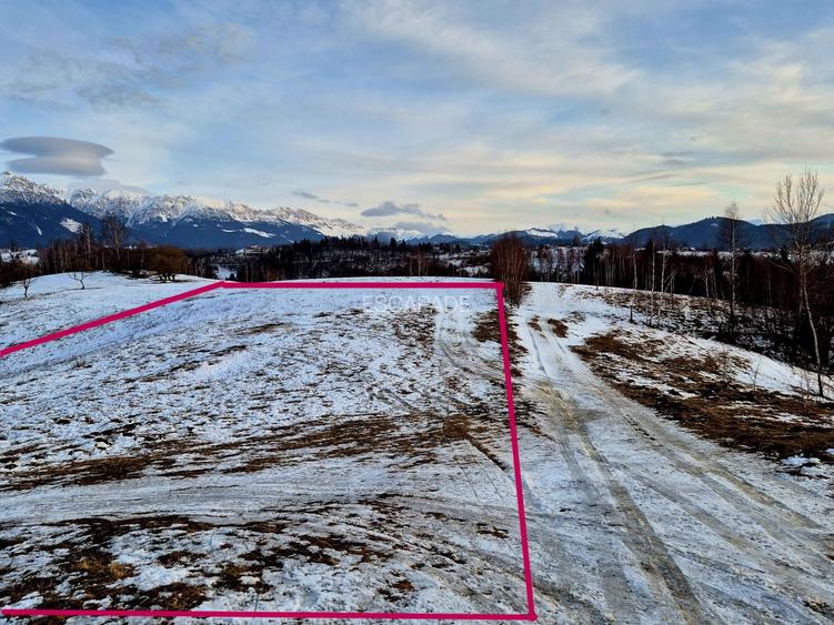 Teren cu priveliste deosebita /muntii Bucegi,in sat Pestera/Moeciu zona La Odai - 5