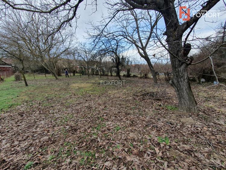 Apartament cu 5 camere de vanzare in Deta, zona Central - 18