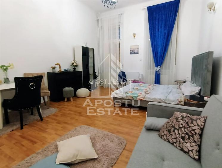 Apartament cu 1 camera, confort sporit, situat in Paiata Victoriei - 2