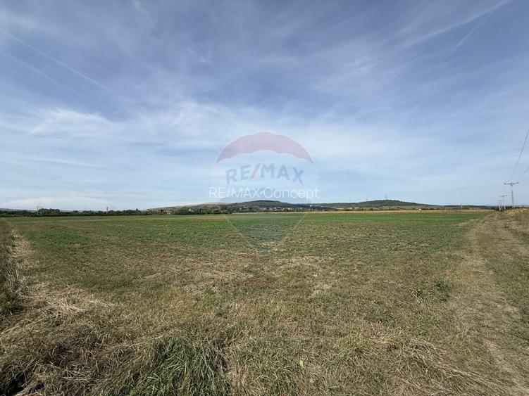 Teren Investitii 2.5 Ha | Zona Tetarom III Rascruci - 4