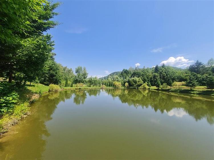 FILM! Oaza paradisiaca cu lac, vedere catre Bucegi, Glajerie/ Rasnov, pretabil C - 13