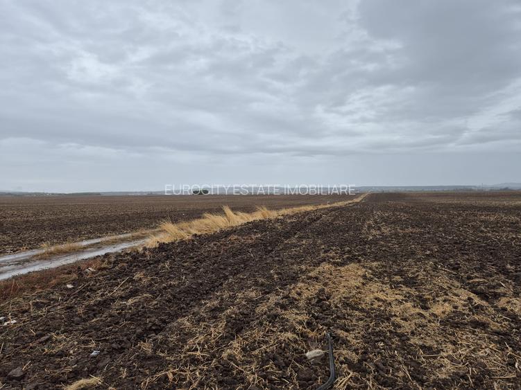 Metro Ploiesti - Paulesti, vanzare teren 39.144mp. - 10