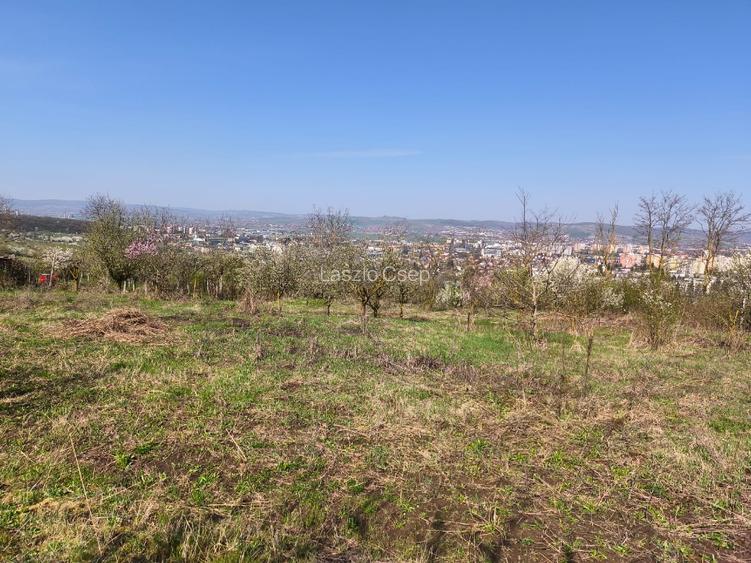 Vand Casa +teren livada 2600m2 - 8