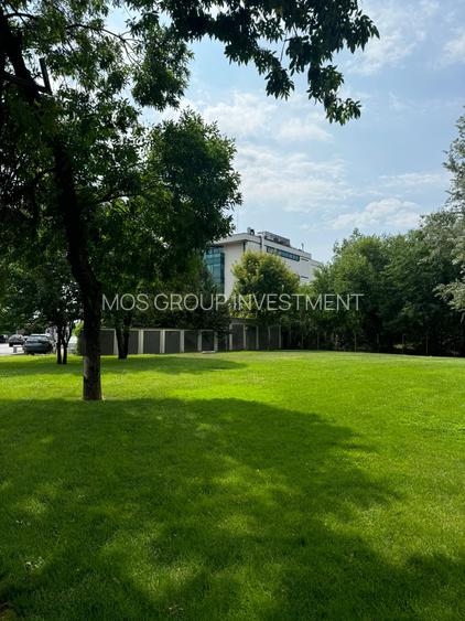 Spatiu comercial | Stradal | NOU | 273 m2 | Trafic Intens | - 8
