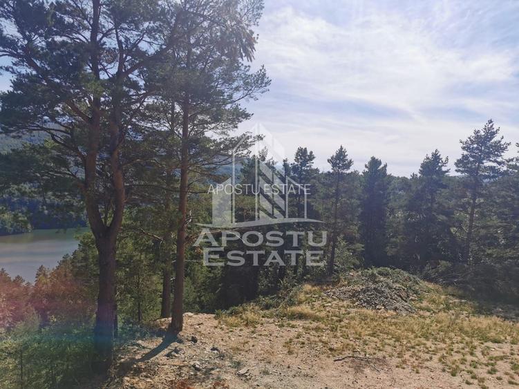 Teren intravilan, 2000mp, cu vedere panoramica spre lacul Valiug - 3