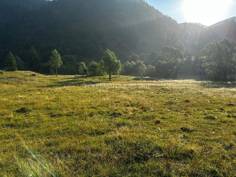 Rucar-Satic, teren intravilan de vanzare, lotur intre 500-5000 mp, peisaj superb - 8