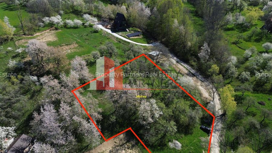 Teren 2500 mp Sohodol - 4