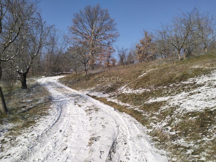 Moșia boierească din vârf de deal, Scorțeni - Prahova, comision 0% - 3