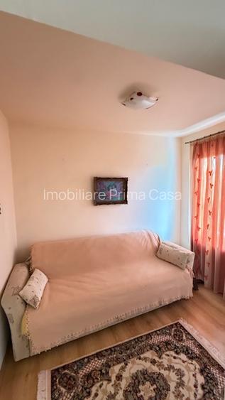 BAIA SPRIE - spre Cavnic Vila D+P+E 168mp + anexa cu teren 1526mp! - 23