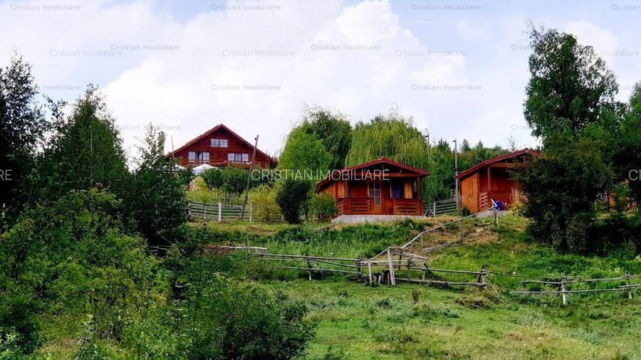 RATE Pensiune Piscina Superba***pe mal Lac Mocearu  70km de Buzau - 19