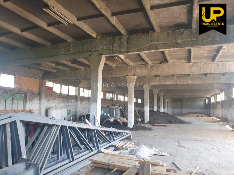 Buzau - Vernesti / Spatiu Industrial + Hale / Toate Utilitatile - 2