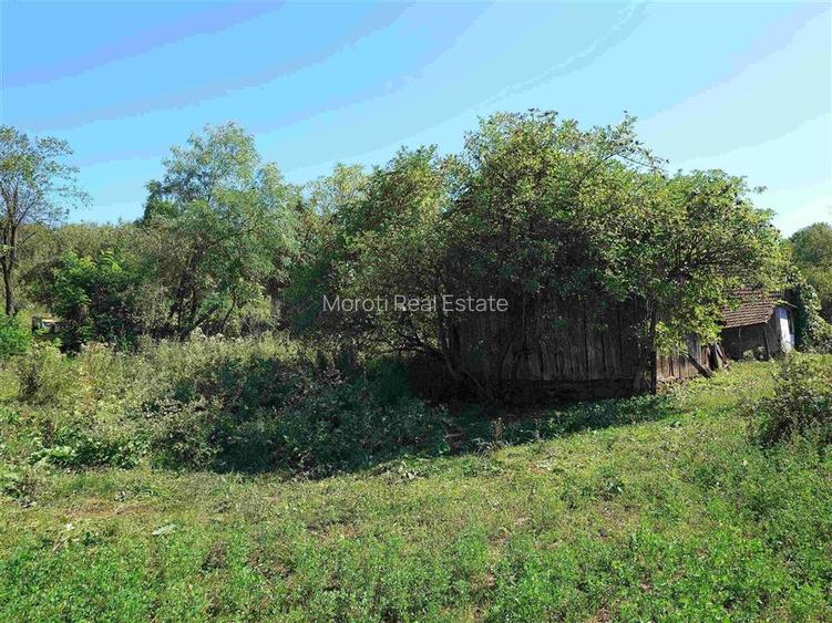 Teren intravilan cu potential, casa si anexe in Lunca - 17